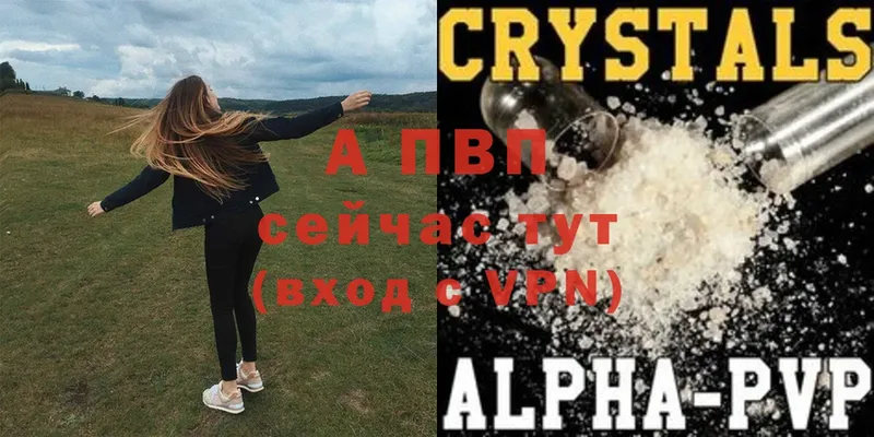 купить  цена  Бабушкин  А ПВП крисы CK 